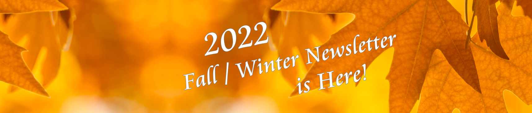 2022 Alsip Fall / Winter Newsletter